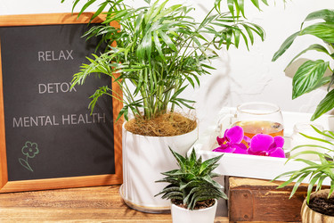 Similar image 22253224