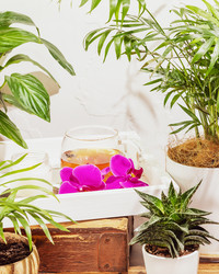 Similar image 22253225