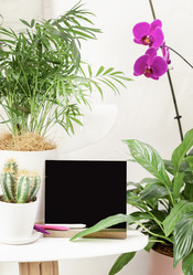 Similar image 22253227