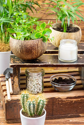 Similar image 22253244