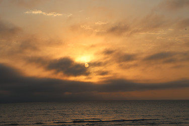 Similar image 22251443