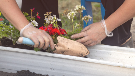 Similar image 22274459