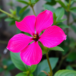 Similar image 22251622