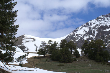 Similar image 22281248