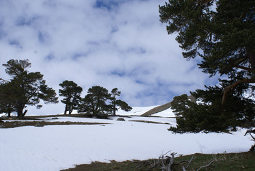 Similar image 22281249