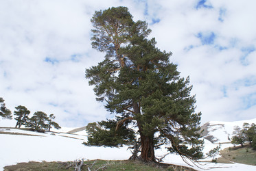 Similar image 22281250