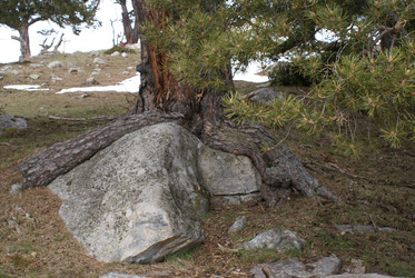 Similar image 22281251