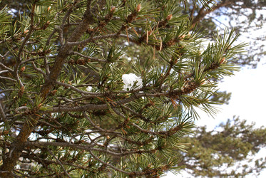 Similar image 22281252