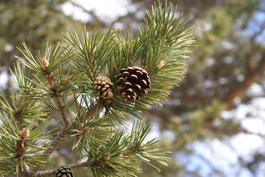 Similar image 22281255