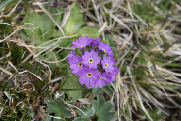 Similar image 22281257