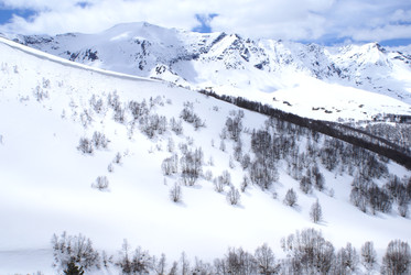 Similar image 22274954