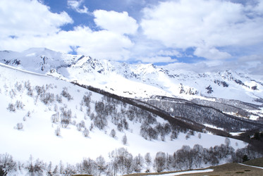 Similar image 22274955