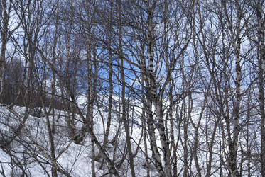 Similar image 22281259