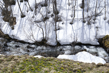 Similar image 22281260