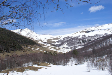 Similar image 22274956