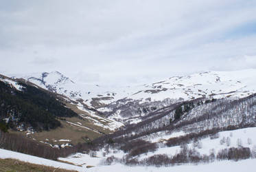 Similar image 22274957