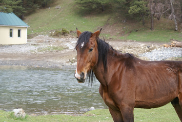 Similar image 22281262