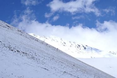 Similar image 22274963