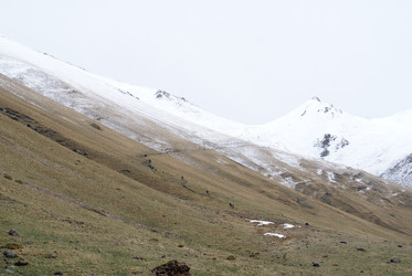 Similar image 22274968