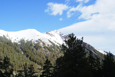 Similar image 22274970