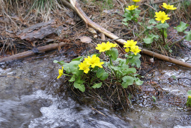 Similar image 22251326