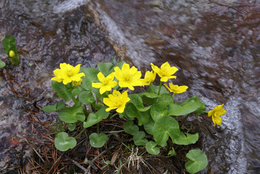 Similar image 22251327