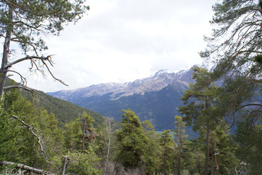 Similar image 22274972