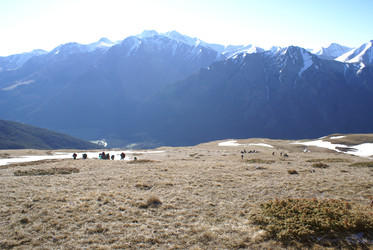 Similar image 22274975