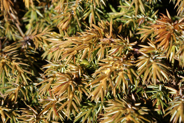 Similar image 22251329