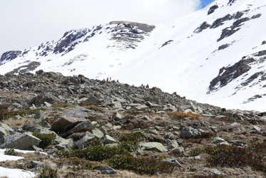 Similar image 22251335