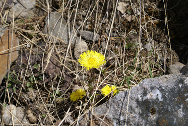 Similar image 22251336