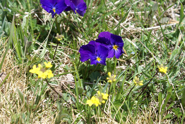 Similar image 22251337