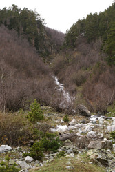 Similar image 22253037