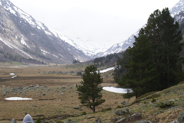 Similar image 22253038