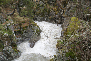 Similar image 22253039