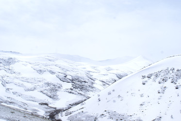 Similar image 22253040