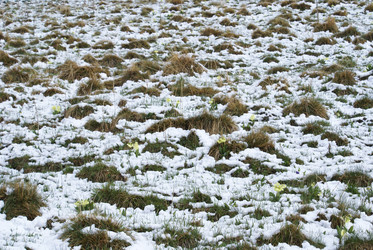 Similar image 22253041