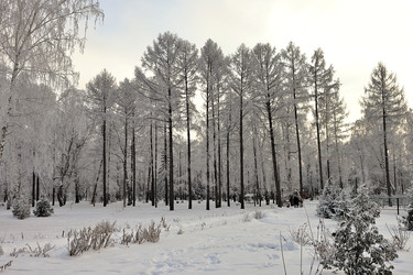 Similar image 22251629