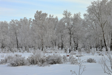 Similar image 22251630