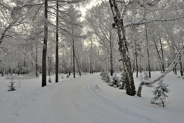 Similar image 22251631