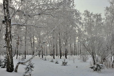 Similar image 22251632