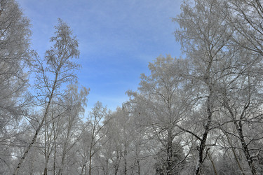 Similar image 22251633