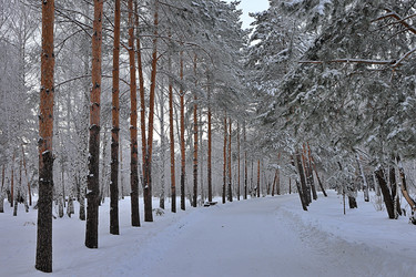 Similar image 22251635