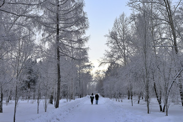 Similar image 22251636