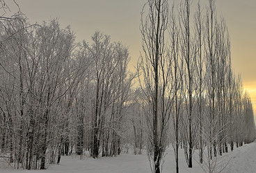 Similar image 22251637