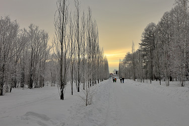 Similar image 22251638