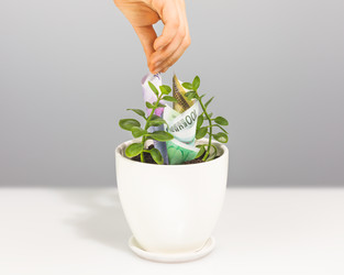 Similar image 22253275