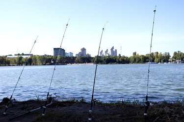 Similar image 22273080