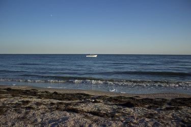 Similar image 22248728