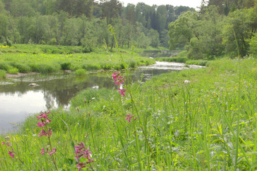 Similar image 22248729